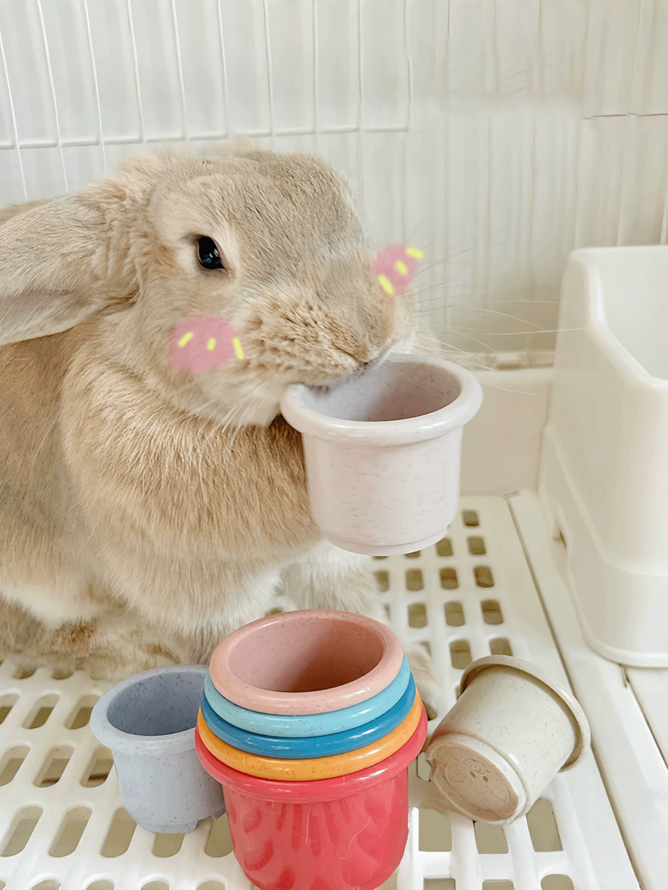 Rabbit Toys For Entertainment, Rabbit Stacking Cups, Guinea Pig Toys, Chew Toys For Rabbit Pets