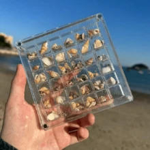 1 个 36 格亚克力透明贝壳储物盒，微型石头海滨标本展示收集昆虫收集盒 - 36格收納盒[僅盒子] - 查看 9