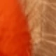Arancione originale