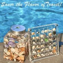 1 个 36 格亚克力透明贝壳储物盒，微型石头海滨标本展示收集昆虫收集盒 - 36格收納盒[僅盒子] - 查看 4