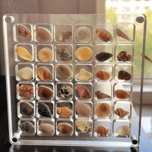 1 个 36 格亚克力透明贝壳储物盒，微型石头海滨标本展示收集昆虫收集盒 - 36格收納盒[僅盒子] - 查看 7