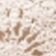 Albaricoque