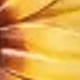 Nhiều màu
