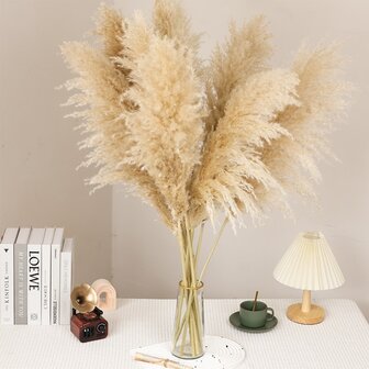 [Back To School Season]10pcs White Fluffy Pampas Grass Bouquet, Bohemian Style Dried Flower Arrangement For Wedding, Farmhouse, Home, Table, Beauty Room, Holiday & Party Decor, Natural Texture, Long-Lasting Aesthetic Appeal, Home Accent | Fluffy Texture | Organic Decor Item, Flower Decorations,Fall Decor,Autumn