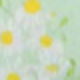 彩色