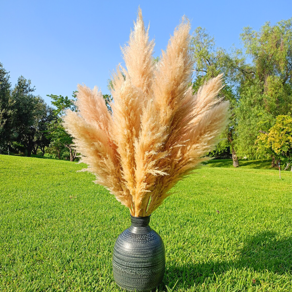 [Temporada de regreso a la escuela] 10 piezas de ramo de hierba de las pampas artificial esponjosa, de 23" - Flores secas naturales beige y blancas para una elegante decoración del hogar, jarrones de piso, acentos de bodas | Decoración de granja versátil, mesa y pared | Regalo perfecto para feriados y ocasiones especiales, decoración navideña|Decoración texturizada|Atractivo rústico, decoraciones florales,otoño