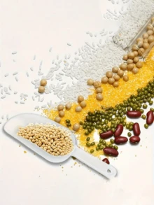 5个塑料迷你冰淇淋勺、糖果勺、面粉勺，适用于餐厅、厨房、婚礼、派对、学校等场合。 - 彩色 - 查看 2