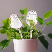 20/10/6/5/4/2/1pc 植物浇水球，自动浇水花盆插入装置，室内植物自动浇水球，植物配件，花卉水管，外出浇水装置植物浇水球 - 彩色 - 查看 6