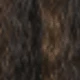Brown Highlight