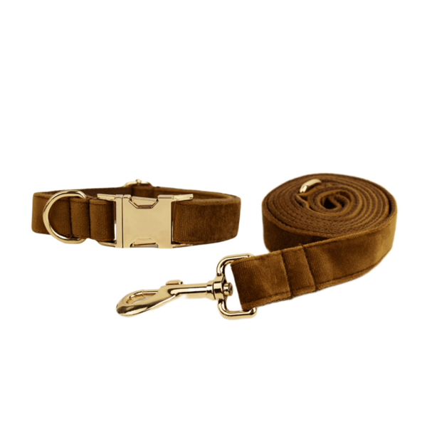 1 Set de 2 correas para mascotas de aleación de zinc suaves y cómodas para perros pequeños, medianos y grandes, collares para mascotas, diseño de aleación de zinc resistente y duradero, fácil de abrochar y desabrochar, collares de perro de alta gama, para boda, Día de San Valentín (puede variar ligeramente debido a diferencias en telas, lotes y colores, se envían al azar)