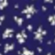 Navy B