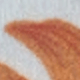 trắng