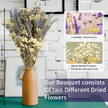 Stagione Torna a Scuola [profumo di Lavanda Campestre] Stile Campestre di San Valentino 1 Mazzo di Lavanda Naturale e profumo Secco di Giovani - Vaso Cielo Stellato Viola e Bianco, Adatto per Matrimoni, Decorazione Domestica, Ghirlande fai-da-te e Accessori Fotografici, Fiori dai Toni Neutri, Miglior Regalo per la Festa della Mamma, Decorazioni Autunnali