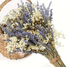 Stagione Torna a Scuola [profumo di Lavanda Campestre] Stile Campestre di San Valentino 1 Mazzo di Lavanda Naturale e profumo Secco di Giovani - Vaso Cielo Stellato Viola e Bianco, Adatto per Matrimoni, Decorazione Domestica, Ghirlande fai-da-te e Accessori Fotografici, Fiori dai Toni Neutri, Miglior Regalo per la Festa della Mamma, Decorazioni Autunnali