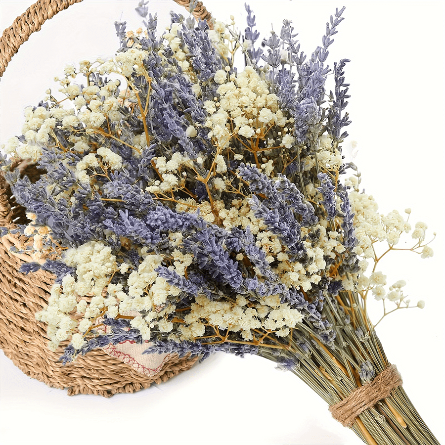 Stagione Torna a Scuola [profumo di Lavanda Campestre] Stile Campestre di San Valentino 1 Mazzo di Lavanda Naturale e profumo Secco di Giovani - Vaso Cielo Stellato Viola e Bianco, Adatto per Matrimoni, Decorazione Domestica, Ghirlande fai-da-te e Accessori Fotografici, Fiori dai Toni Neutri, Miglior Regalo per la Festa della Mamma, Decorazioni Autunnali
