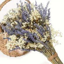 Stagione Torna a Scuola [profumo di Lavanda Campestre] Stile Campestre di San Valentino 1 Mazzo di Lavanda Naturale e profumo Secco di Giovani - Vaso Cielo Stellato Viola e Bianco, Adatto per Matrimoni, Decorazione Domestica, Ghirlande fai-da-te e Accessori Fotografici, Fiori dai Toni Neutri, Miglior Regalo per la Festa della Mamma, Decorazioni Autunnali