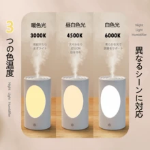 加湿器 卓上 小型 Type-C充電式 卓上加湿器 除菌 大容量600ML 超音波式加湿器 次亜塩素酸水対応 車載加湿器 静音 持ち運び便利 軽量 コンパクト コードレス - ホワイト - チェックする 6