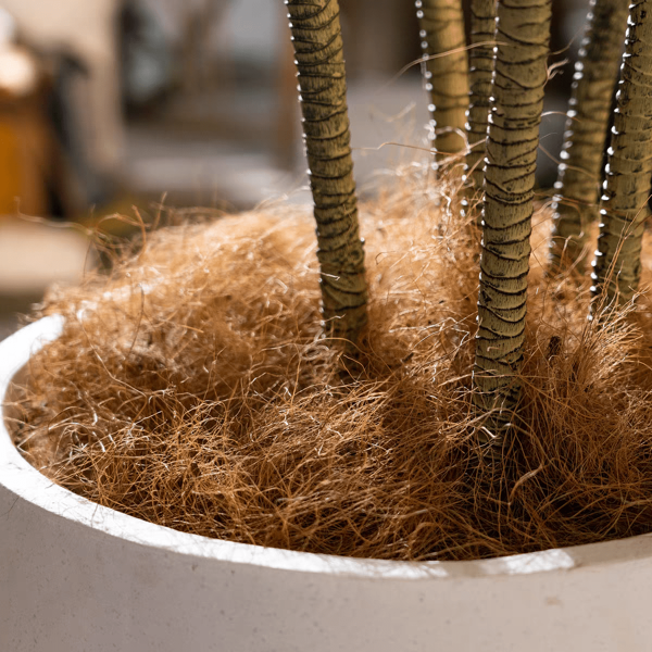 100g Material de nidificación de pájaros, fibra de coco natural para construcción de nidos y refugios, lecho de animales pequeños, protección de nidificación, decoración de plantas en maceta (Marrón)