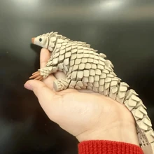1 pièce de modèle mignon de pangolin imprimé en 3D, ornements de modèle animal, statues d'animaux en plastique réalistes, convient pour des cadeaux de fête, parfait pour la décoration de la maison, de la cafétéria, du bureau, idéal comme cadeau pour Noël, Pâques, Thanksgiving, Nouvel An et d'autres fêtes, ornements de statues pour la maison