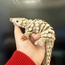 1 pièce de modèle mignon de pangolin imprimé en 3D, ornements de modèle animal, statues d'animaux en plastique réalistes, convient pour des cadeaux de fête, parfait pour la décoration de la maison, de la cafétéria, du bureau, idéal comme cadeau pour Noël, Pâques, Thanksgiving, Nouvel An et d'autres fêtes, ornements de statues pour la maison