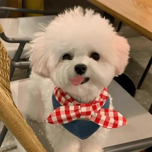 Fashionable INS-Style Colorblock Denim Bow-Tie Pet Bib Scarf, Essential For Adorable Pets
