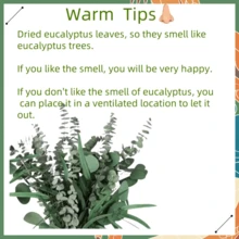 80 件蒲苇日常装饰餐桌装饰桌面装饰和干花绿色蒲苇客厅小装饰人造花、餐桌装饰、中心装饰、人造花、塑料花礼物生日毕业、秋季装饰、秋季