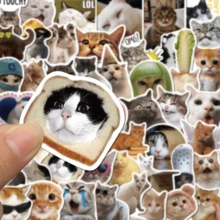 50pcs Cute Cat Vinyl Stickers, Creative DIY Waterproof Stickers Suitable For Mugs, Refrigerators, Books, Luggage, Tables, Helmets, Skateboards, Cameras, Guitars, Laptops, Etc.