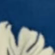 azul royal 0021