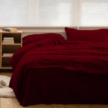 Set Copripiumino in Microfibra di Alta Qualità (2/3 Pezzo)|Disponibile per Letto Matrimoniale, Singolo e una Piazza e Mezza|Morbido, Confortevole, Ipoallergenico|Facile da Lavare e Adatto a Tutte le Stagioni|Con Mezza Federa|Perfetto per Casa, Hotel, Ospiti|Adatto per Adulti e Bambini - Bordò - Visualizzare 3