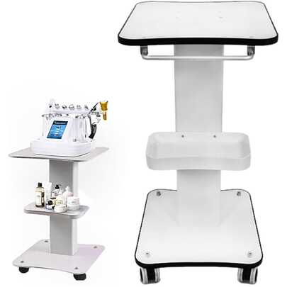 Carrito de Salón de Belleza,Bandeja de Salón con Ruedas con Bandeja Adicional,Ruedas y Soporte Carrito Móvil de Aleación de Aluminio para SPA y Salón(Load 220 Libras)