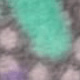 淺灰色