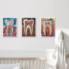 Set Seni Kanvas Cat Air Implan Gigi Berwarna-warni 3 Buah - Cetakan Anatomi Gigi Tanpa Bingkai, Desain Gigi Berwarna-warni untuk Dekorasi Klinik & Rumah Sakit - MultiWarna - View 4