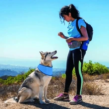 A Simple Pet Cooling Garment - A Cooling Neckerchief For Cats And Dogs, A Summer Cooling Scarf, A Cooling Headscarf For Relieving Heat And Refreshing The Body. Suitable For All Body Types.