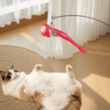 1 Piece Of Cat-Teasing Stick Simulation Bird Replacement Head Cat-Teasing Stick Replacement Head Call Bird Teasing Cat Toy Cat Fun Entertainment Replacement Head A Variety Of Styles Bright Colors Realistic Small Animal Shape Replacement Head Dragonfly Butterfly Caterpillar Cat Toy Cat Dog Essential Pet Supplies For Cats - Multicolor - View 1