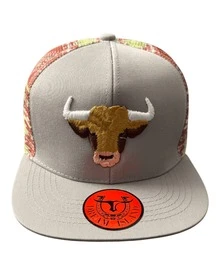 Gorra Plana Dream Island "Toro" Bordado Premium - Gris Claro - Ver 3