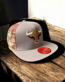 Gorra Plana Dream Island "Toro" Bordado Premium - Gris Claro - Ver 1