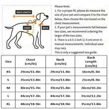 小型犬夏季公主吊带裙，适合小型/中型犬的宠物服装