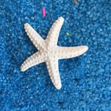 5-Piece Resin Nautical Figurine Set - Starfish, Seahorse, Shell Collectible Decor For Aquarium, Christmas, Home Accents - Multicolor - View 14