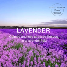 2pcs Oversized Lavender Hanging Wardrobe Deodorizer, Air Freshener With Long Lasting Fragrance, Home Decor