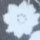 Blanco y Negro