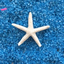 5-Piece Resin Nautical Figurine Set - Starfish, Seahorse, Shell Collectible Decor For Aquarium, Christmas, Home Accents - Multicolor - View 12
