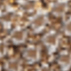 Champagne 7219