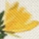 Amarillo claro