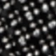 Sort 7219