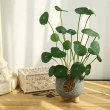 1/2/3件装人造绿色植物枝叶，适用于DIY花墙、场景装饰、客厅/卧室花瓶插花、婚礼、派对、家居装饰、桌面摆件。秋冬季仿真树叶，家居装饰、桌面装饰、农舍风格装饰，抗紫外线人造花，适用于悬挂式花园、门廊、窗台、花盆和户外装饰。 - 綠色 - 查看 6