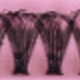 màu đen