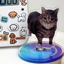 1pc Oiiaio Spinning Cat Meme Desk Decoration, Funny Novelty Stress Relief Toy - Multicolor - View 16