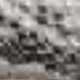 SNAKE3303