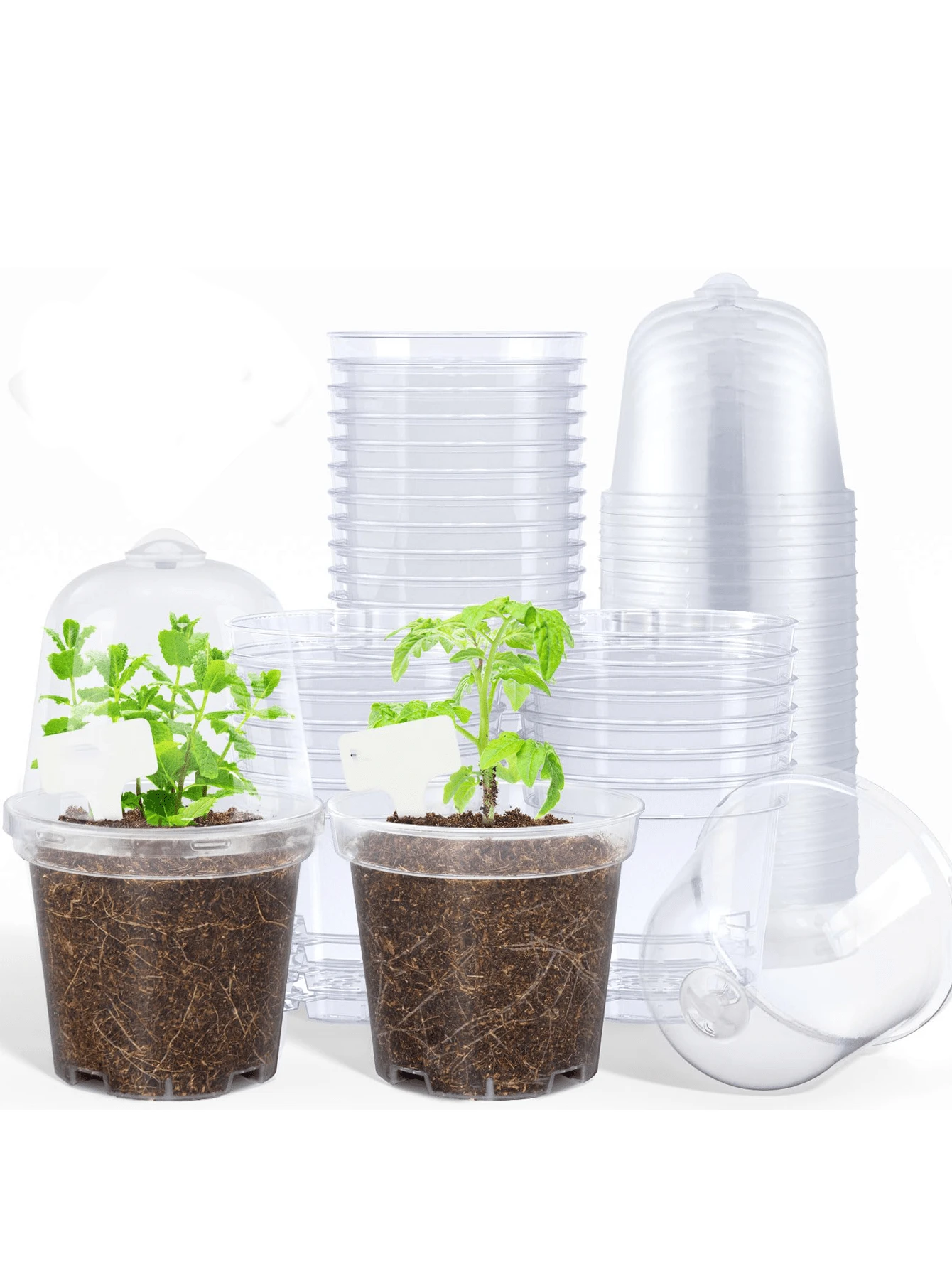 3pcs Clear Nursery Pots For Plants, 3/4/5 Inch Plant Pot For Planting With Humidity Domes Plastic Seedling With Drainage Holes Seed Starter Flower High Transparency - Multicolor - View 1