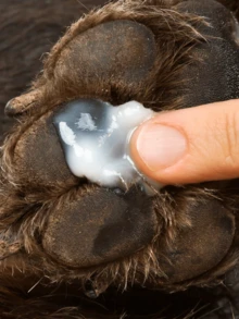 Hidratante para patinhas do cachorros e gatos - Bege - Visão 4